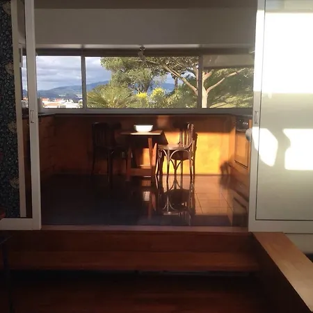 Sunny House Apartment *